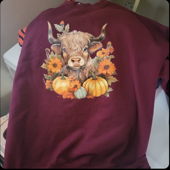 ➕ 🍂🍁 Fall Gildan Highland Cow Pumpkin Sweatshirt Sz 2XL - Picture 4 of 4